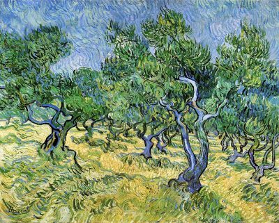 El olivar de Vincent Van Gogh