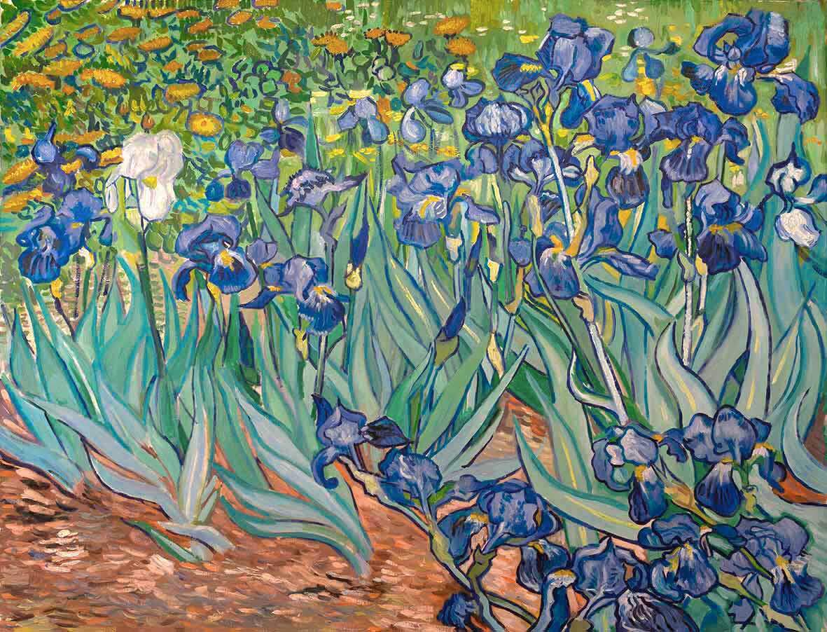 Reproducción de Los lirios de Van Gogh
